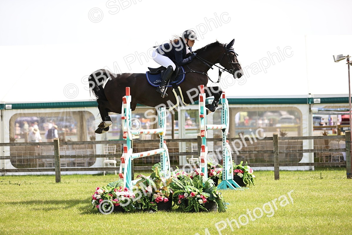 SBM_03083 - Class 201 - British Horse Feedds Speedi Beet HOYS Grade C