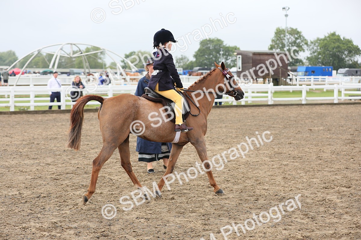 SBM_21784 - Class 806 - Young ridder 10 Yr & Under