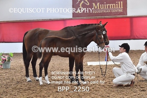 BPP_2250 - AFTERNOON 12.30 - 3.30PM