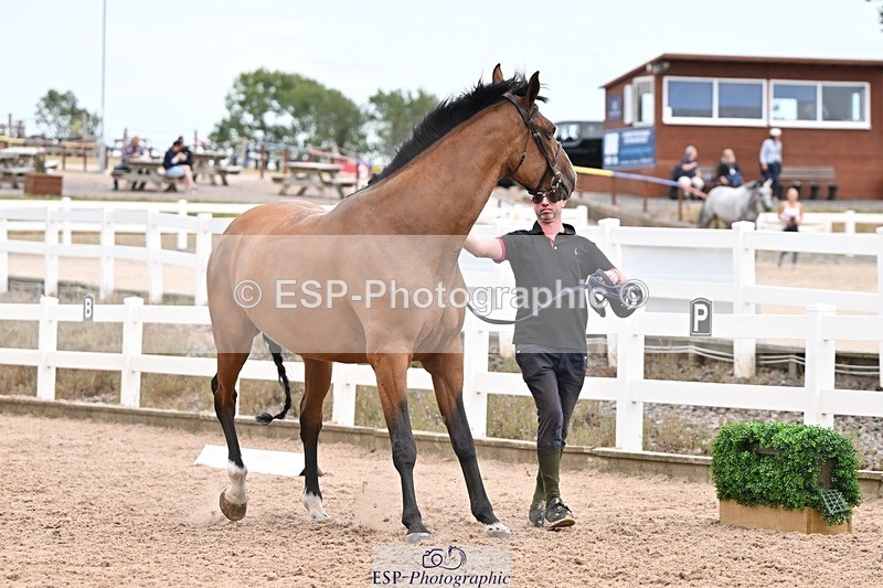 250716-155103-02221 - Trot Up 3.30 to 4.30