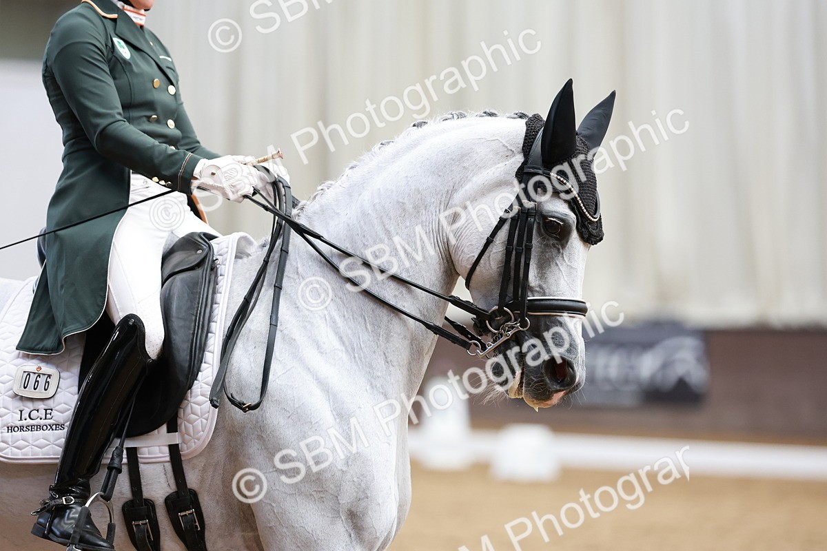 SBM_018860 - Class 12 - FEI PSG - 13.00-13.48