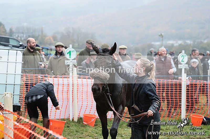 PtP 091125  1180 - Point-to-Point Wales Area Club Lower Machen, Gwent 09/11/25