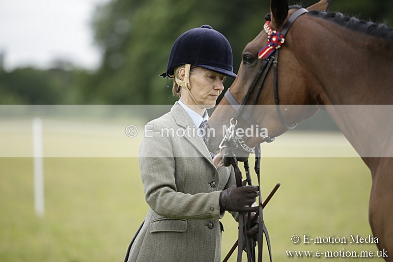 BVR160717-853 - Ring 2 BVRC Show 16/07/17