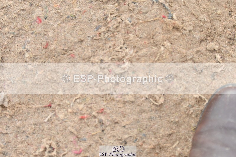 230511A-161900-01332 - BD Cls 18 FEI PSG