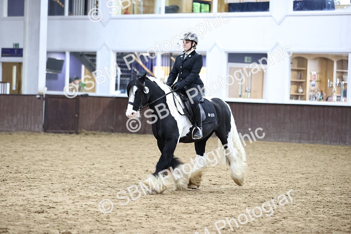 SBM_6375 - Class 45-42 - Ridden Irish Breeds-Ridden Cob