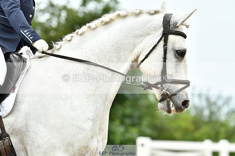 230702A-111155-08644 - Cls 26 Novice 37A