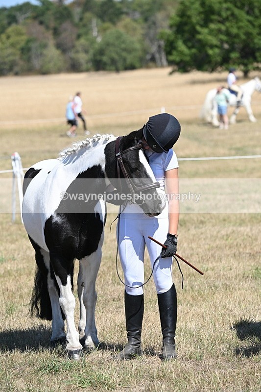 WJ6_8659 - Class 37b Best Loan Pony In-hand