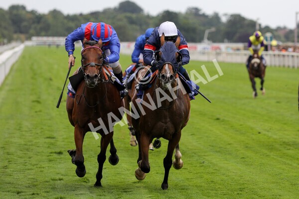 yr23072022r3-28 - Race 3 3.15pm Sky Bet York Stakes