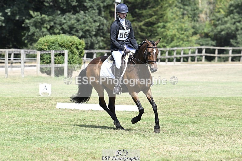 250822A-120821-22590 - DR 11.00 to 12.00