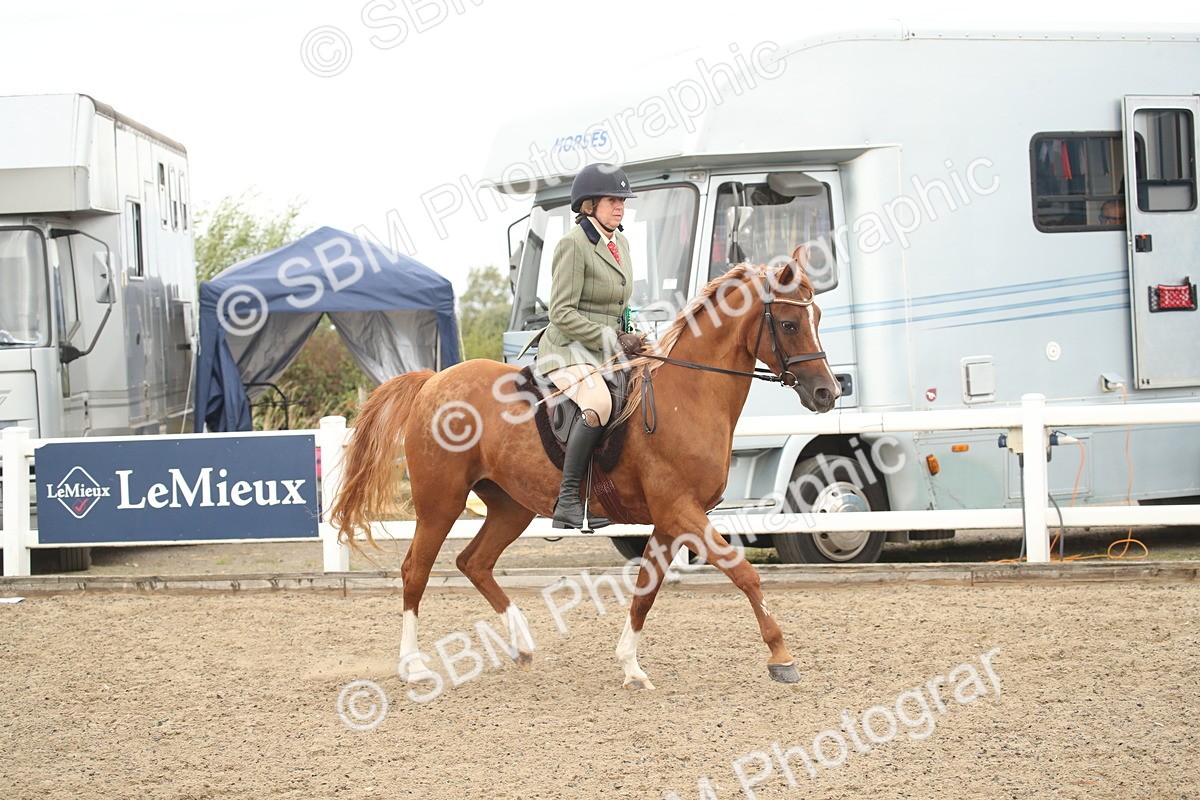 SBM_16855 - Class 507b - Working Veteran 60cm (20+)