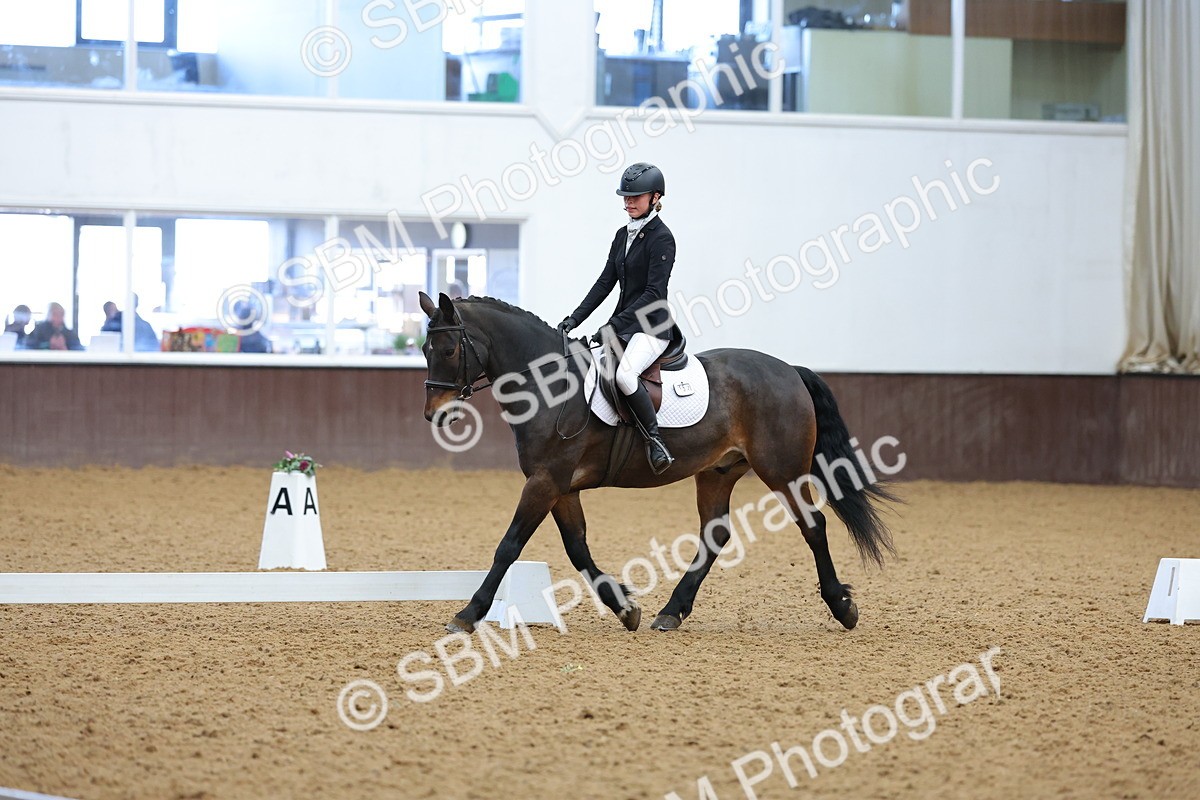 SBM_002722 - Novice