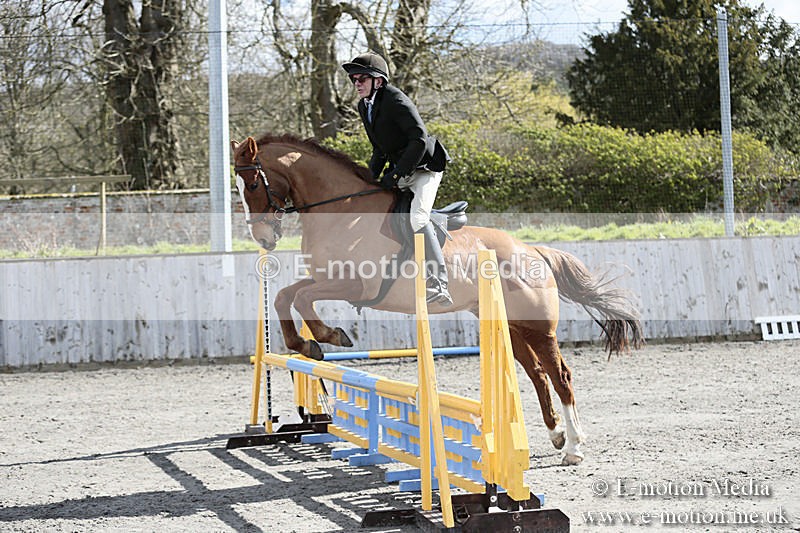 BVRC SJ 170319 327 - Bourne Valley Riding Club Showjumping 17/03/19
