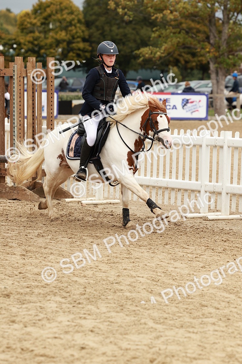 SBM_67008 - J13 - Junior Pony 60cm Championship