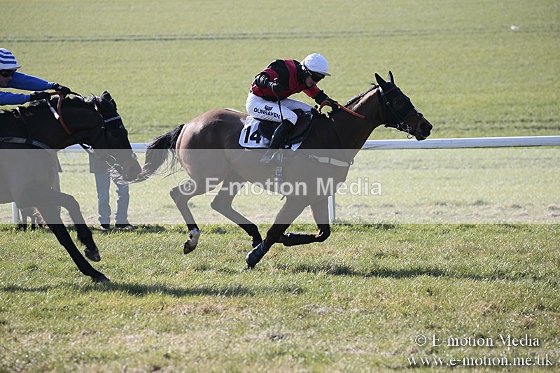 PtP 240218 63 - Vine & Craven Hunt Point-to-Point Barbury racecourse 24/02/18