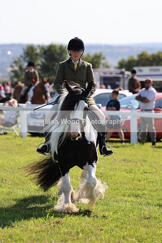 IMG_1559 - Class 30: Ridden Native/Trad Coloured Pony