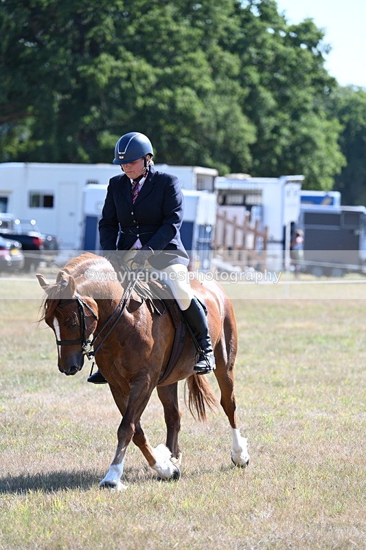 WJ7_3871 - Class 9 Mountain & Moorland Ridden