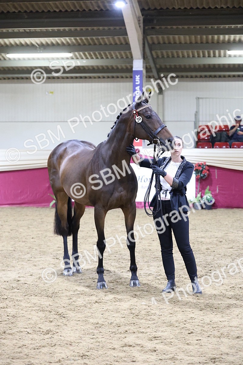 SBM_20656 - Class I - Ridden Pony Champ