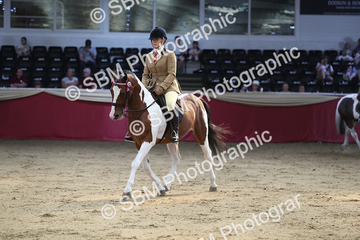 SBM_08330 - Class 11R Regional Ridden Veteran