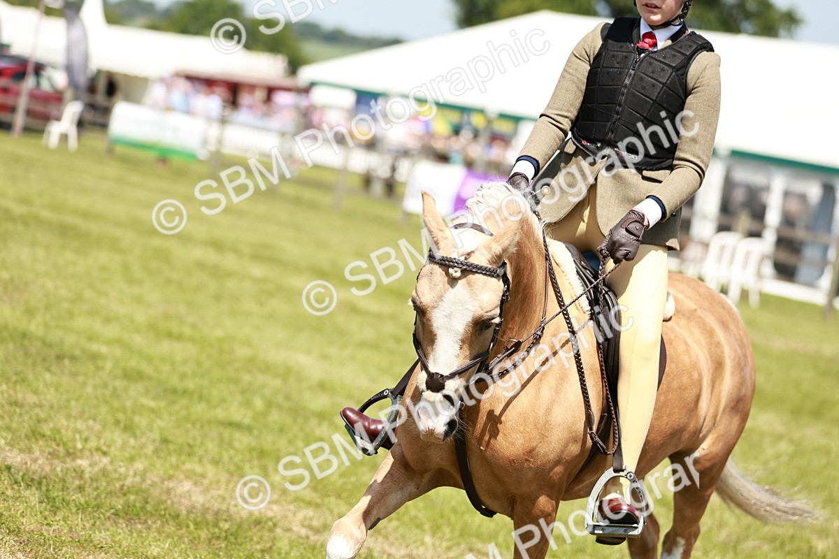 SBM_15676 - Class 108-109 - BSPS LIHS Open Gradle & Nursery Stakes