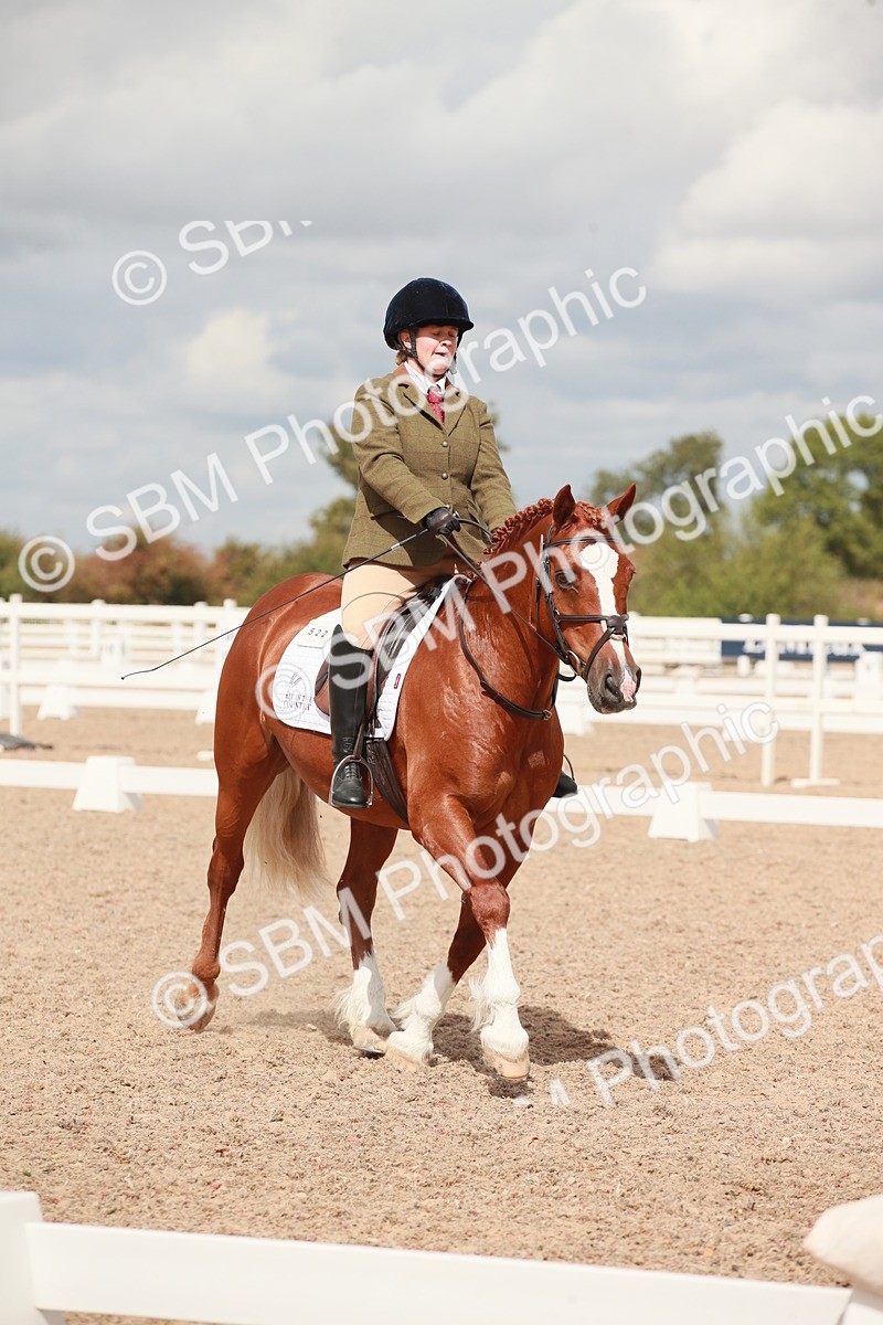 SBM_05870 - Class 32 - Novice 1