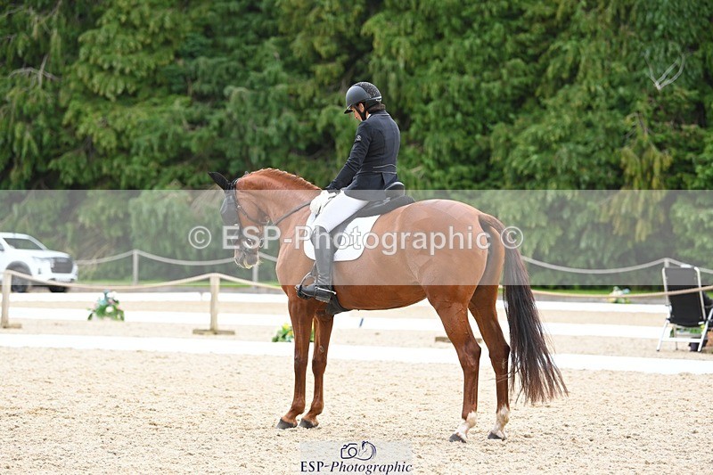 230813-142948-07772 - Cls 13 Medium Bronze 13.15 to End