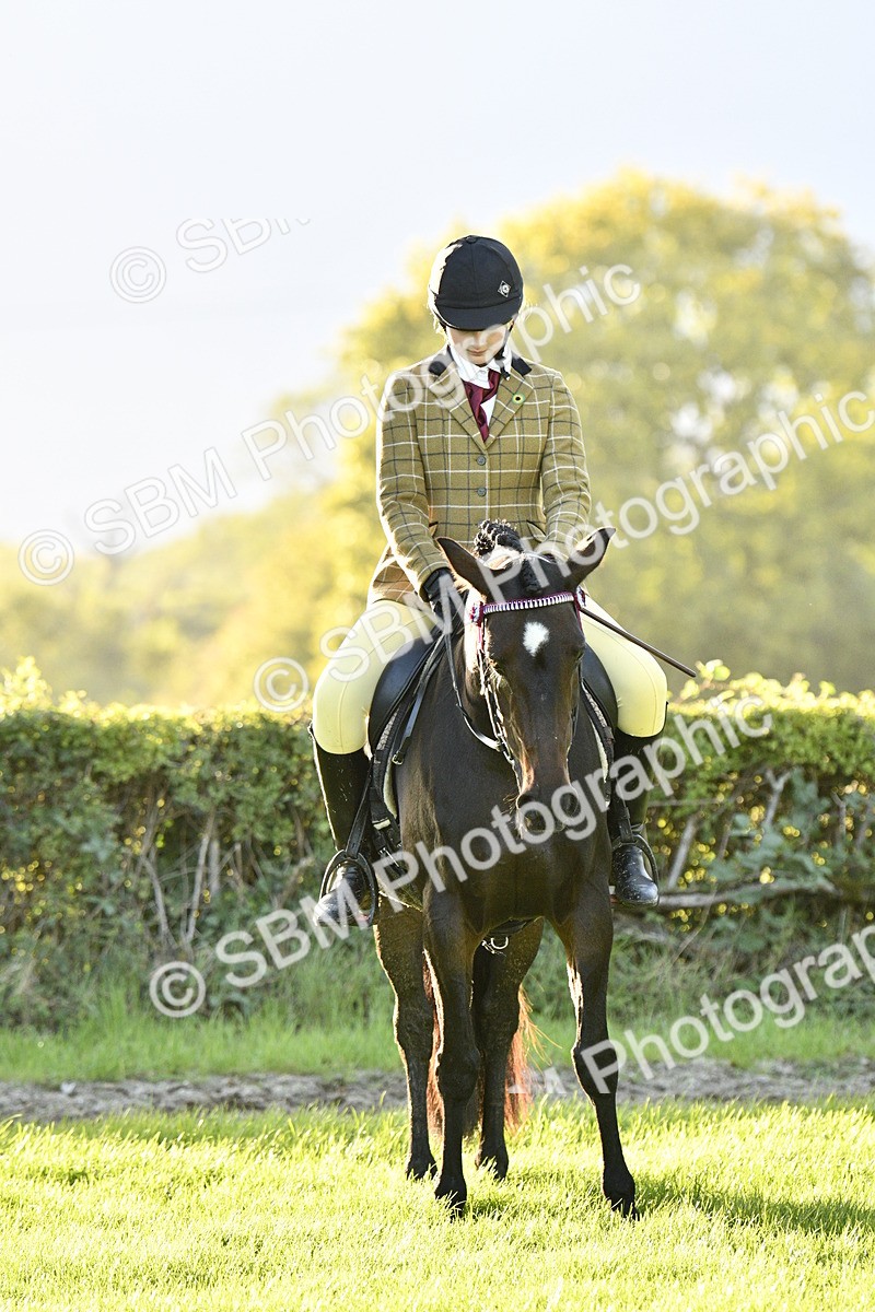 SBM_53585 - S14 - Riding Club Horse