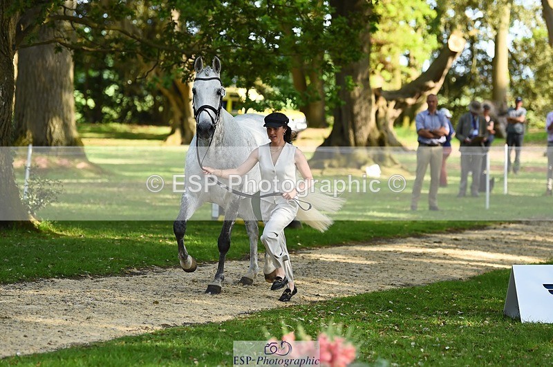 230524-172046-01448 - 170-MIND_OVER_MATTER-Lea_Boulesteix-WEDTrotUp+DR