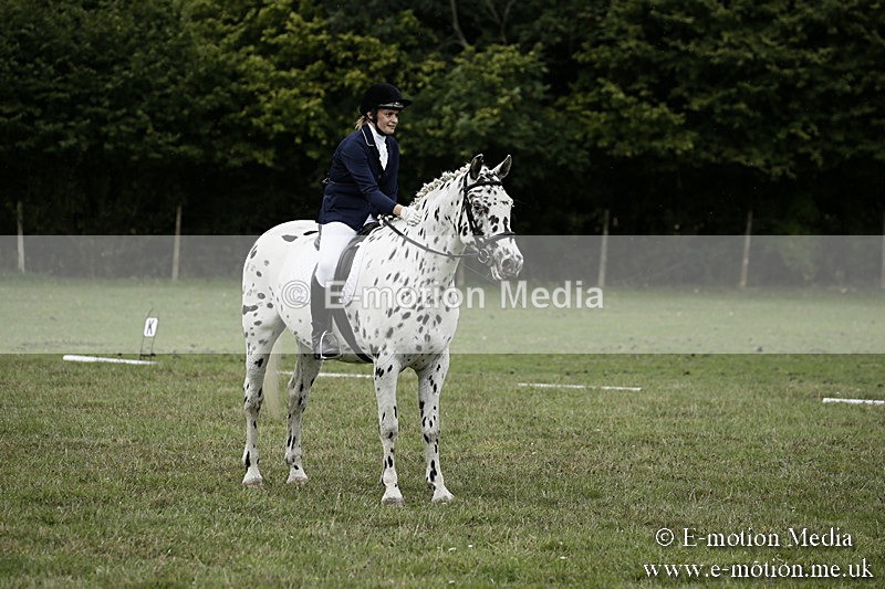 BVR080918 120 - BVRC Novice Dressage & CR 08/09/18