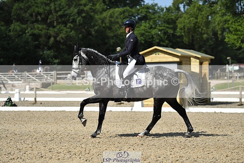 230525-102102-01690 - 311-BALLYCOSKERRY_REGAL_DIAMOND-Hollie_Swain-WEDTrotUp+DR