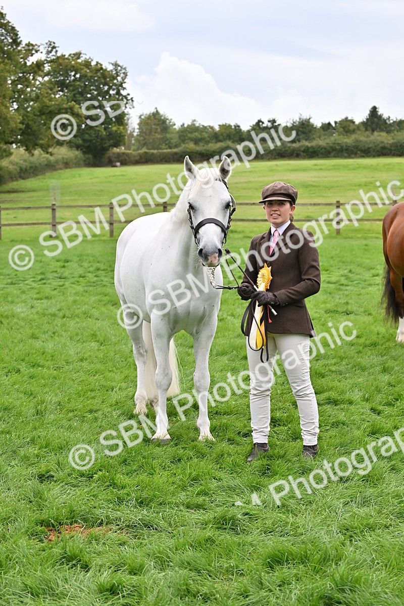 SBM_63322 - S49 - Mountain & Moorland In Hand Large Breeds