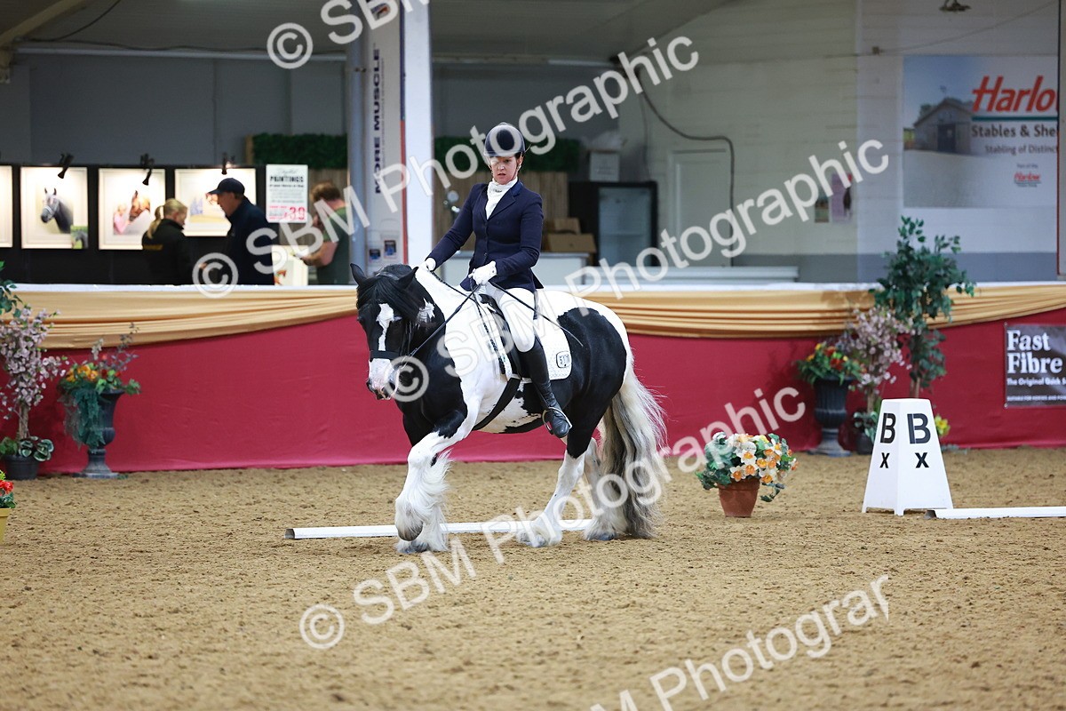 SBM_06488 - Class 61 - Dressage to Music
