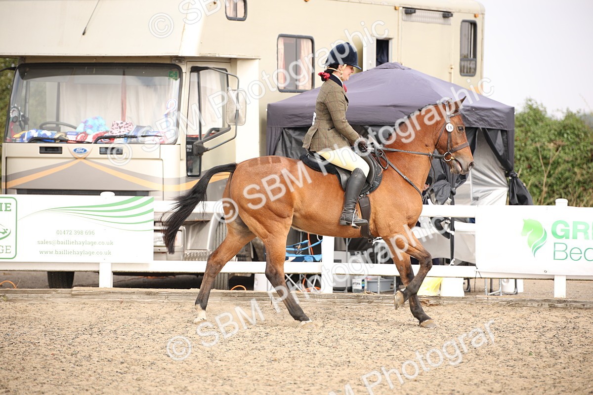 SBM_12930 - Class 406a - Working Veteran 50cm (15-19)