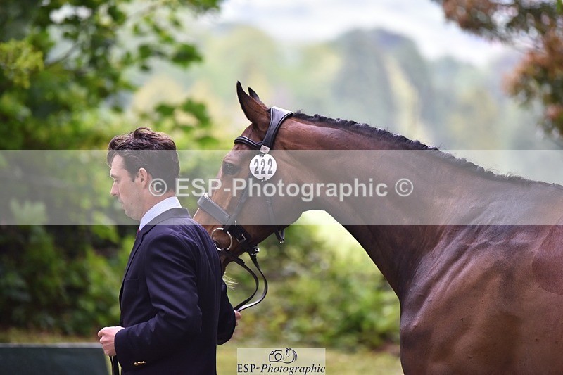 240522-164818-01170 - 222-KILCANNON_SENSATION-Harry_Meade