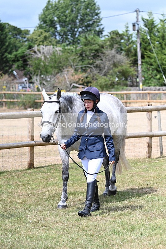 WJ7_1765 - Class 4a Prettiest Mare 14.2hh and over hand
