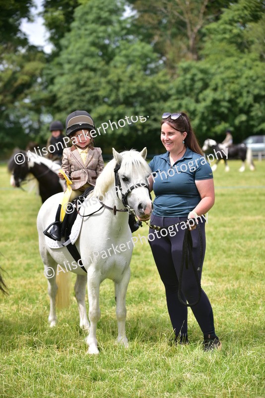 20260614-3731 - Class 15 - Prettiest Mare