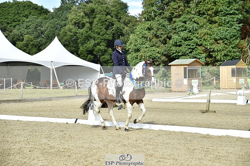 250720A-164048-12531 - Sunday Presentations