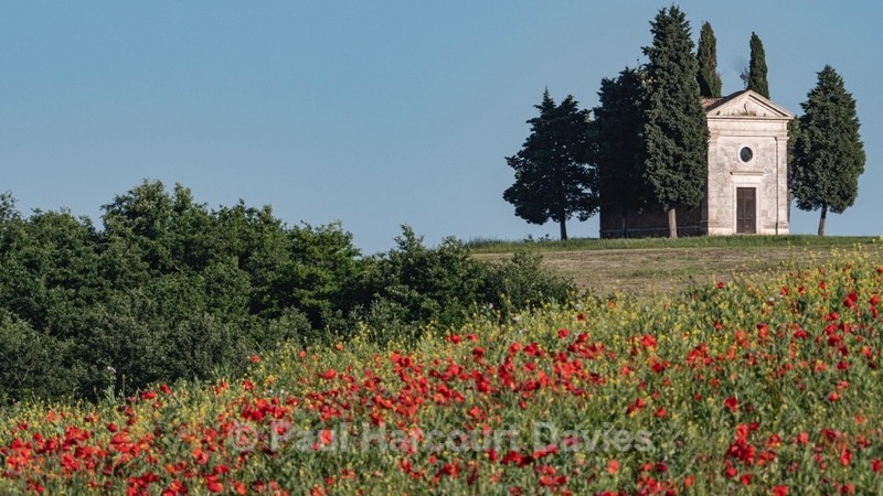  - Flowers in the Landscape - 1
