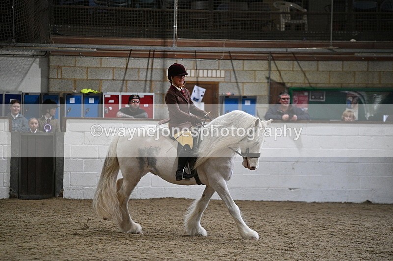 WJ7_4218 - Class 17 Ridden Cob