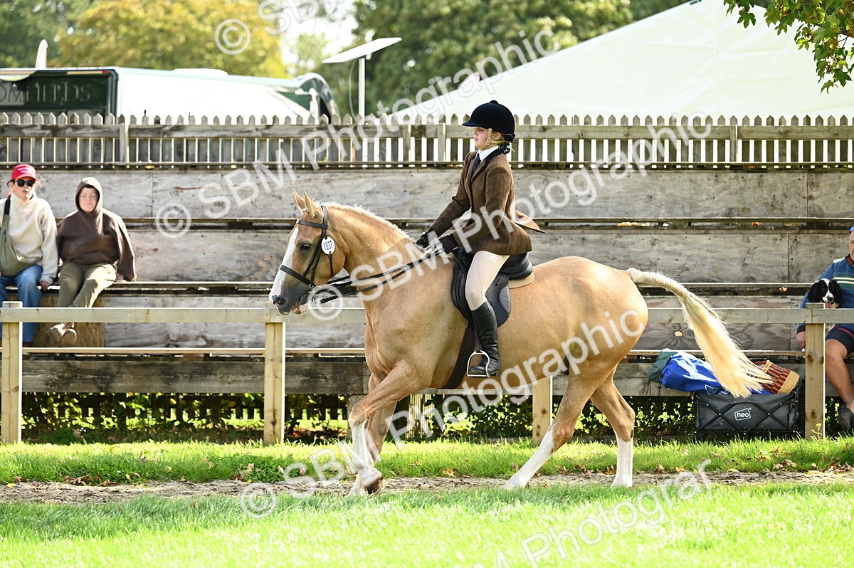 SBM_01722 - S2 - TSR Ridden Horse Showing