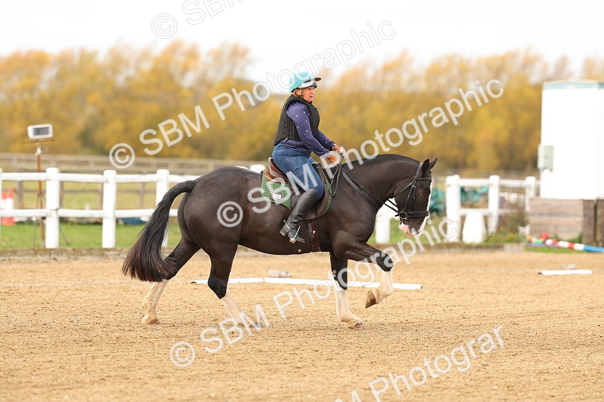 SBM_001020 - Class 13-4-9 - DR P3 CT P3 70cm CT PYO