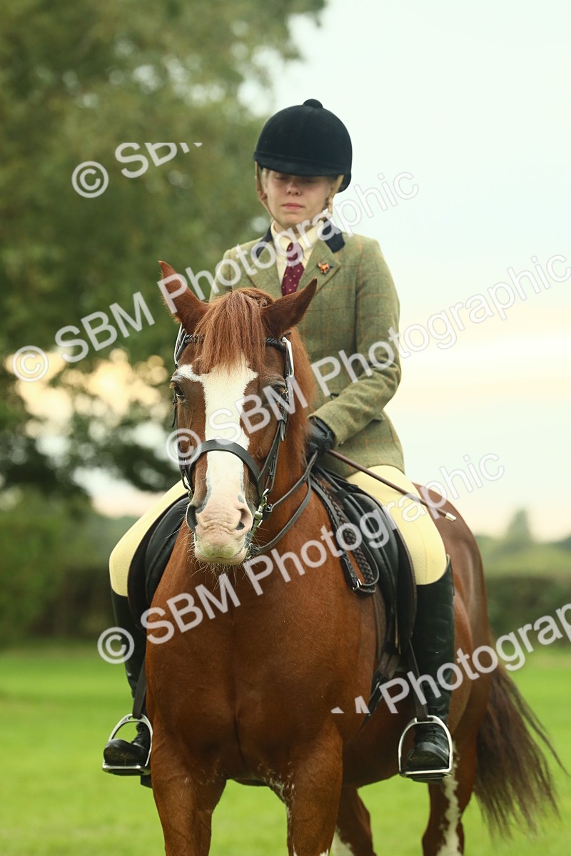 SBM_72249 - S60 - Mountain & Moorland Ridden Large Breeds