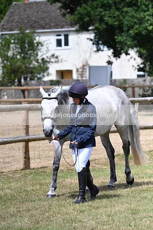 WJ7_1763 - Class 4a Prettiest Mare 14.2hh and over hand