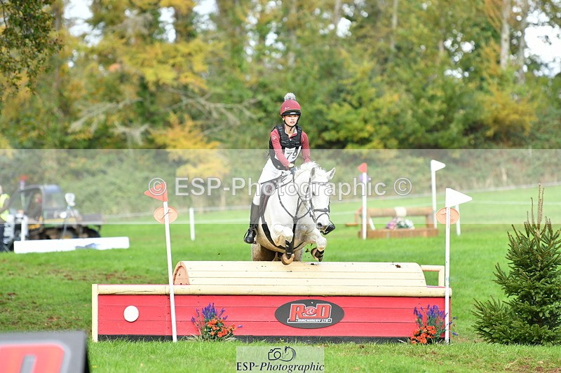 251025A-134905-20117 - F-479-Poppy.Wellman