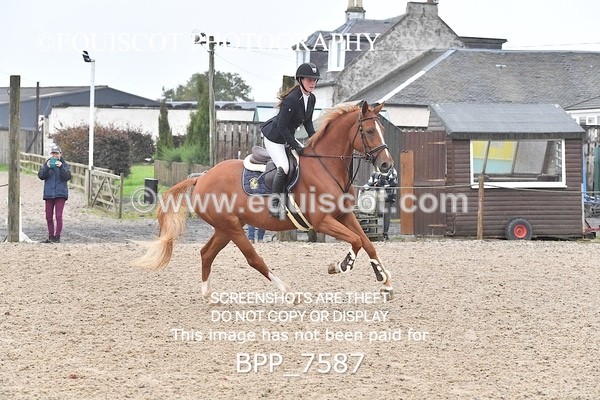 BPP_7587 - CLASS 2 Club/ Unaffiliated 80cms Open