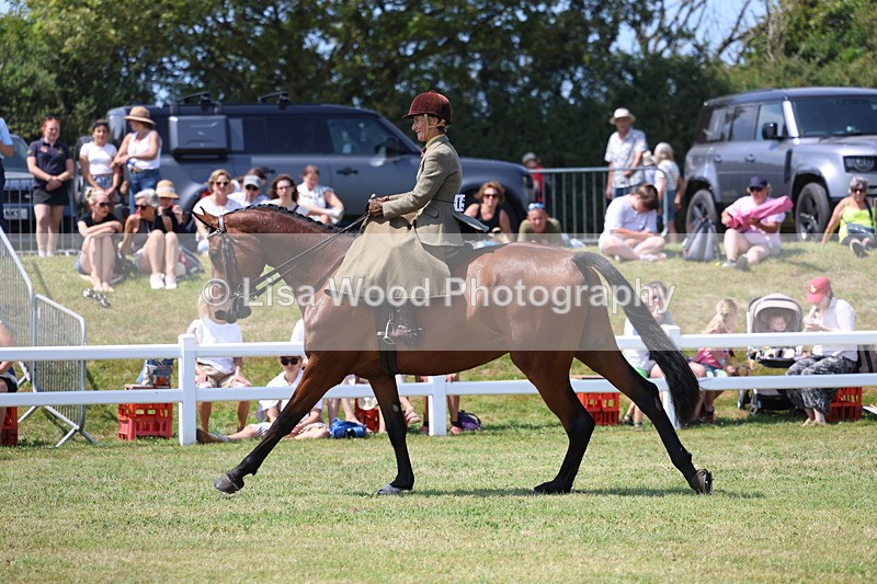 3E7A9703 - Class 13: Side Saddle
