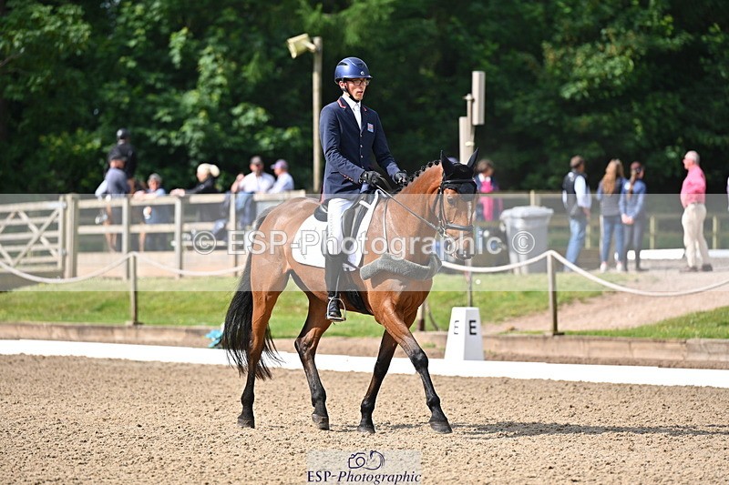 250523A-093939-05292 - C-258-Bill.Levett-ITALIAN.HARLEQUIN.NJ