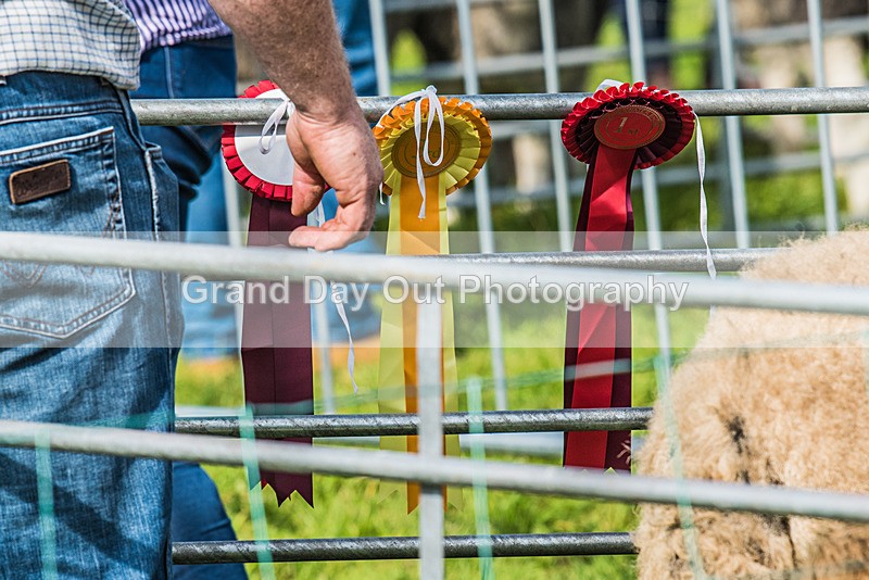 Loweswater Show-26 - Loweswater Show Junior & Senior Fell Races Sunday 3rd September 2023