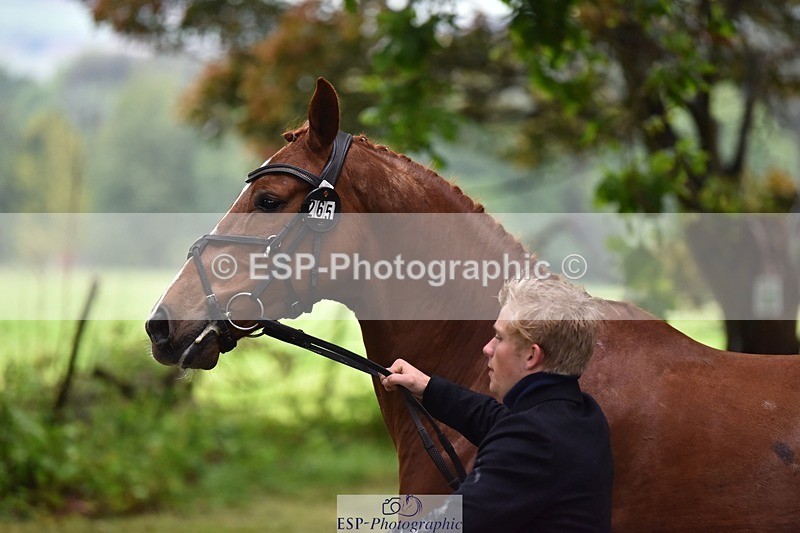 240522-163926-01072 - 265-GREANNANSTOWN_MONBEG_JOE-Finn_Healy