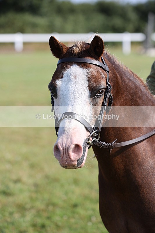 JPP_0583 - Class 15: Cornish Combination First Ridden