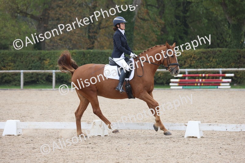 20251012-0661 - Class 5 - Elementary 5